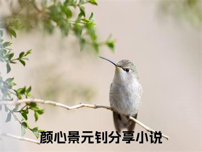 颜心景元钊完结版阅读《颜心景元钊》最新章节目录好书推荐_(颜心景元钊)