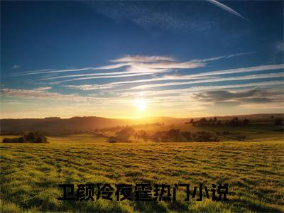 卫颜冷夜霆全文免费阅读无弹窗大结局_章节列表_笔趣阁