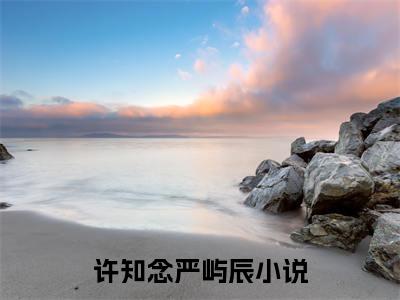 许知念严屿辰全文免费阅读大结局_（许知念严屿辰免费阅读无弹窗）许知念严屿辰最新章节列表笔趣阁（许知念严屿辰）