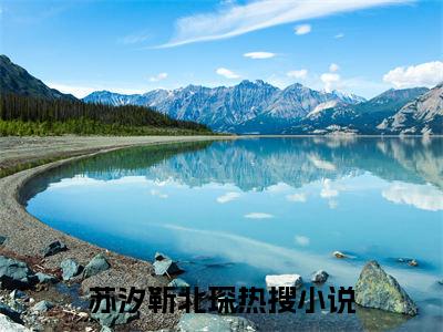 苏汐靳北琛小说-苏汐靳北琛全文免费阅读