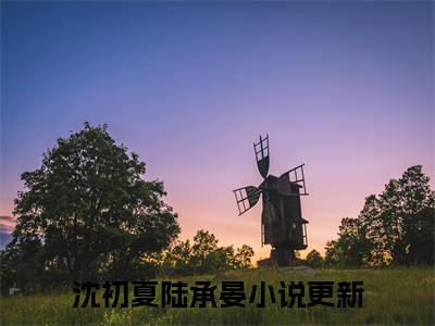 沈初夏陆承晏小说-沈初夏陆承晏全文免费阅读