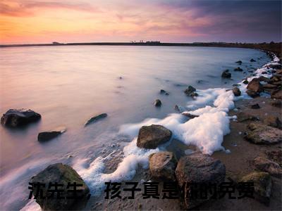 沈蔓沈知遇小说（沈先生，孩子真是你的）全文免费阅读无弹窗大结局_沈蔓沈知遇小说免费阅读最新章节列表笔趣阁（沈先生，孩子真是你的）