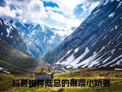 沈媚陆夜琛小说全文免费阅读_（沈媚陆夜琛）陆总的暴躁小娇妻小说最新章节列表笔趣阁