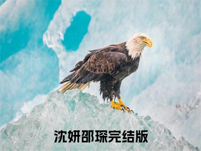 沈妍邵琛(沈妍邵琛)全文免费阅读无弹窗大结局_沈妍邵琛全文阅读_笔趣阁（沈妍邵琛）