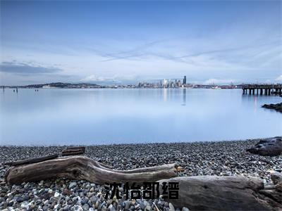 沈怡邵缙全文免费阅读无弹窗-（沈怡邵缙在线阅读）沈怡邵缙最新章节列表笔趣阁
