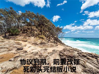 薄司言沈曼小说全文（协议到期，前妻改嫁死对头）全文免费阅读无弹窗大结局_薄司言沈曼小说全文最新章节列表