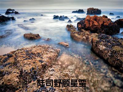 离婚后，陆总舔狗上身帮我提鞋全文免费阅读_（陆司野顾星蛮免费阅读无弹窗）离婚后，陆总舔狗上身帮我提鞋最新章节列表笔趣阁