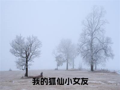 顾漠小说我的狐仙小女友大结局阅读-新上热文小说顾漠（我的狐仙小女友）讲的是什么