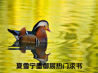 夏雪宁墨御宸（夏雪宁墨御宸）小说全文免费阅读无弹窗-（夏雪宁墨御宸）小说全文免费阅读最新章节列表笔趣阁