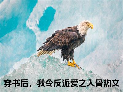 宋临荇洛安全文免费阅读无弹窗大结局_宋临荇洛安全文阅读_笔趣阁（穿书后，我令反派爱之入骨）