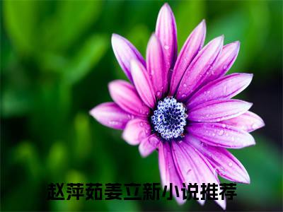 赵萍茹姜立新小说全文免费阅读无弹窗-赵萍茹姜立新小说在线免费阅读大结局