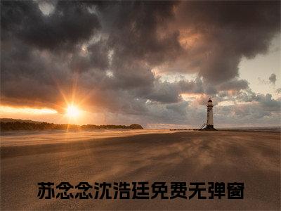 苏念念沈浩廷（苏念念沈浩廷）小说在线阅读_苏念念沈浩廷免费阅读笔趣阁（苏念念沈浩廷）