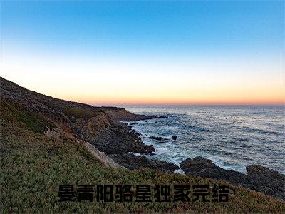 晏青阳骆星（晏青阳骆星）全文免费阅读无弹窗大结局_晏青阳骆星在线阅读（晏青阳骆星）