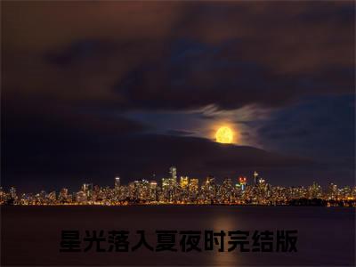 星光落入夏夜时全文免费阅读无弹窗(小说全文免费阅读)尹初夏陆星寒最新章节列表