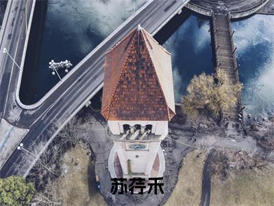 苏荇禾（重生后，将军主母干翻前夫全家）高质量小说推荐阅读-最新小说重生后，将军主母干翻前夫全家全文阅读