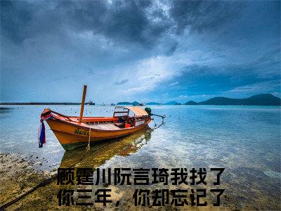 顾霆川阮言琦小说精彩章节今日阅读更新-（我找了你三年，你却忘记了？小说）免费阅读小说全文