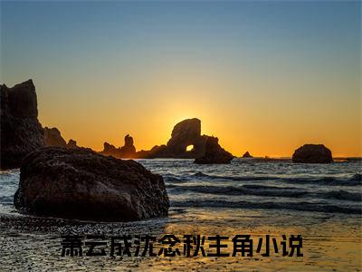 萧云成沈念秋（萧云成沈念秋）全文免费阅读无弹窗大结局_(萧云成沈念秋小说免费阅读)_笔趣阁