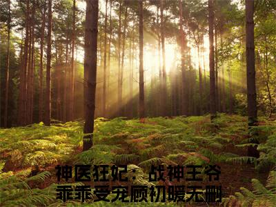 神医狂妃：战神王爷乖乖受宠顾初暖免费阅读无弹窗大结局，神医狂妃：战神王爷乖乖受宠顾初暖（最新全章节）全文阅读免费阅读-笔趣阁