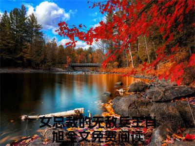 （女总裁的无敌兵王肖旭）小说全文免费阅读-微小说（女总裁的无敌兵王肖旭）完整版阅读