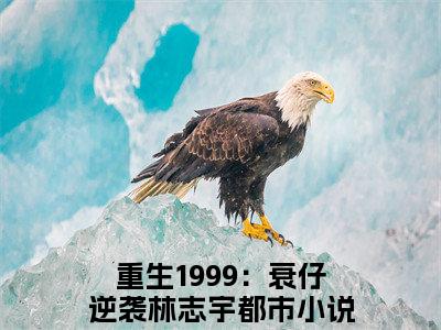 重生1999：衰仔逆袭林志宇小说大结局-精彩美文重生1999：衰仔逆袭林志宇免费阅读