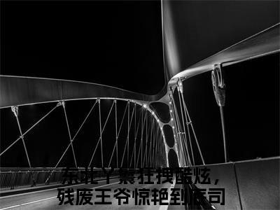 东北丫鬟狂拽酷炫，残废王爷惊艳到底司湉湉（东北丫鬟狂拽酷炫，残废王爷惊艳到底司湉湉）全文小说-（东北丫鬟狂拽酷炫，残废王爷惊艳到底司湉湉）小说最新章节免费阅读