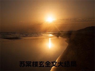 苏棠楼玄小说全文免费阅读，苏棠楼玄最新章节