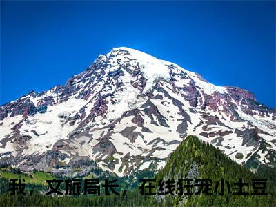 我，文旅局长，在线狂宠小土豆全文免费阅读大结局-我，文旅局长，在线狂宠小土豆最新章节免费阅读大结局