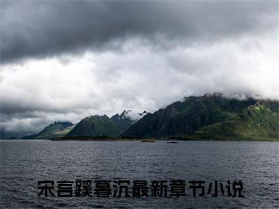 宋言蹊暮沉小说最后结局(宋言蹊暮沉)完结版免费阅读