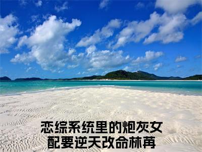 恋综系统里的炮灰女配要逆天改命林苒是啥小说 恋综系统里的炮灰女配要逆天改命林苒免费阅读无广告