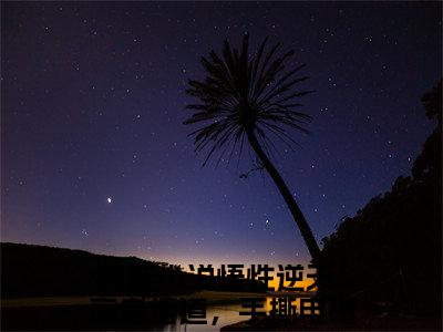 私藏读物《悟性逆天：高考悟道，手撕电磁炮苏勤》小说全文免费阅读-微小说（悟性逆天：高考悟道，手撕电磁炮苏勤）完整版阅读