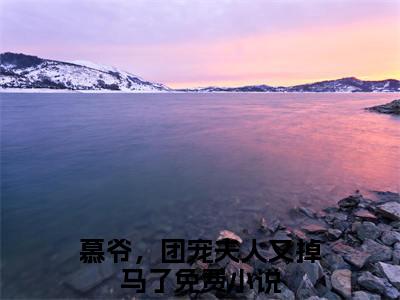 小说叶云希慕翊岩（慕爷，团宠夫人又掉马了小说免费阅读）完结阅读_叶云希慕翊岩全文免费阅读最新章节大结局