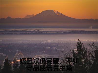 嫁三次仍完璧，不如守品质活寡（燕白洲叶晚棠）小说最新章节-燕白洲叶晚棠全文免费阅读无弹窗大结局