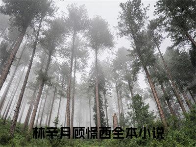 林辛月顾憬西（林辛月顾憬西）小说全文免费阅读大结局-林辛月顾憬西全章节抖音小说