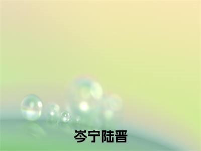 《岑宁陆晋》全文免费阅读最新章节大结局-岑宁陆晋 全文全章节免费阅读