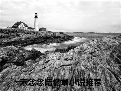宋念念陆俨章热门小说最新章节阅读-老书虫书荒推荐热点小说（宋念念陆俨章）