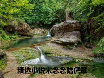 宋念念陆俨章（宋念念陆俨章）全文在线阅读免费大结局_宋念念陆俨章最新章节列表_笔趣阁（宋念念陆俨章）