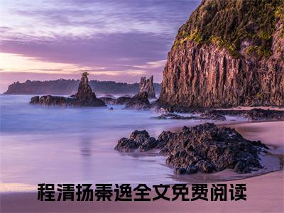 程清扬秦逸免费阅读大结局无弹窗-小说推荐程清扬秦逸精彩章节在线阅读