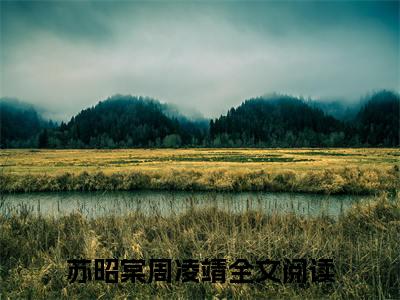 苏昭棠周凌靖正版小说全文阅读 苏昭棠周凌靖全文免费完整版