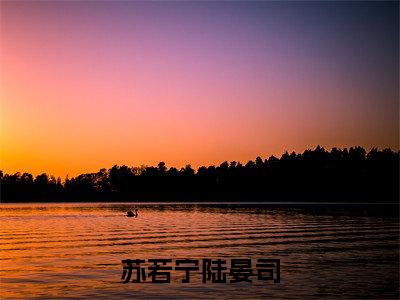 苏若宁陆晏司免费小说 苏若宁陆晏司在线小说免费阅读目录