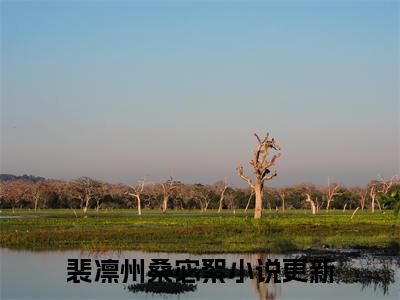 裴凛州桑宓絮精选热门小说无弹窗-裴凛州桑宓絮在线赏析