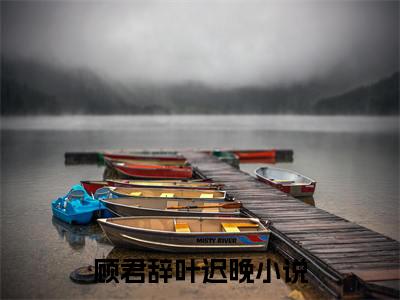 顾君辞叶迟晚小说全文（顾君辞叶迟晚）全文免费阅读无弹窗大结局_顾君辞叶迟晚小说全文最新章节列表_笔趣阁