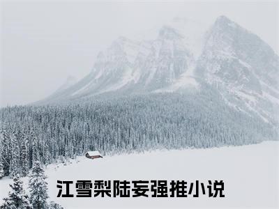 江雪梨陆妄免费小说 江雪梨陆妄全文完整版阅读