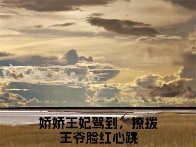水洛蓝冷钰（娇娇王妃驾到，撩拨王爷脸红心跳）多人追免费无弹窗小说-主角娇娇王妃驾到，撩拨王爷脸红心跳完整版在线阅读（水洛蓝冷钰）