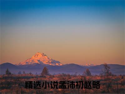 兴奋效应孟沛初赵略全文免费阅读无弹窗大结局_孟沛初赵略（兴奋效应）全文阅读_笔趣阁
