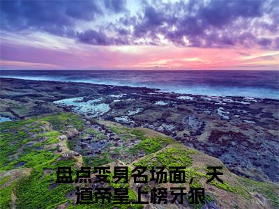 盘点变身名场面，天道帝皇上榜牙狼(盘点变身名场面，天道帝皇上榜牙狼)全文免费阅读无弹窗大结局_(盘点变身名场面，天道帝皇上榜牙狼)盘点变身名场面，天道帝皇上榜牙狼全文免费完结版阅读(盘点变身名场面，天道帝皇上榜牙狼)