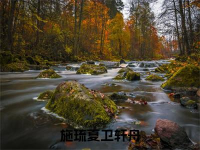 施琉夏卫轩舟无广告小说正版在线阅读,施琉夏卫轩舟全文在线阅读大结局