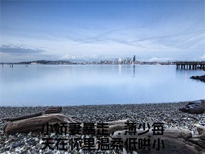 小娇妻暴走，薄少每天在怀里温柔低哄小说免费下载阅读_(薄祁琛温窈)小娇妻暴走，薄少每天在怀里温柔低哄最新章节列表_笔趣阁（薄祁琛温窈）