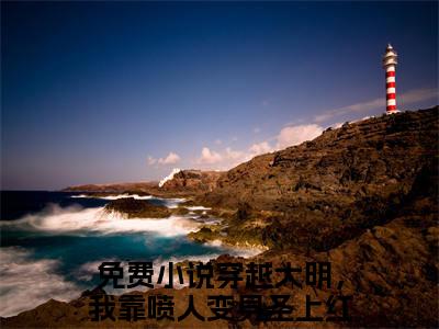 顾晨陈宝船全集完整版大结局-穿越大明，我靠喷人变身圣上红人小说在线赏析