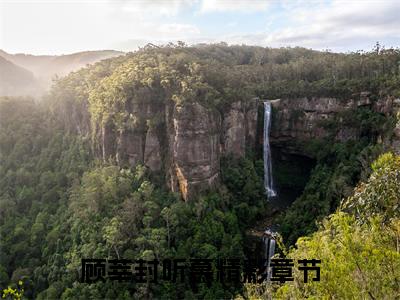 顾莘封听慕（顾莘封听慕）全文免费阅读无弹窗大结局_顾莘封听慕在线阅读（顾莘封听慕）