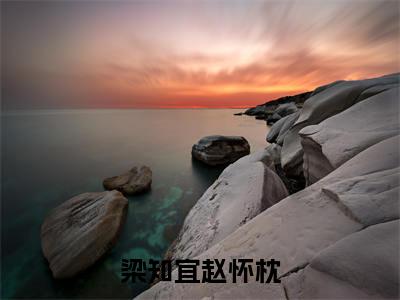 女生看的小说推荐梁知宜赵怀枕-梁知宜赵怀枕小说免费阅读